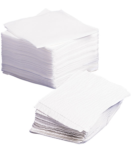 What is the quantity of dry wipes included in a single order?