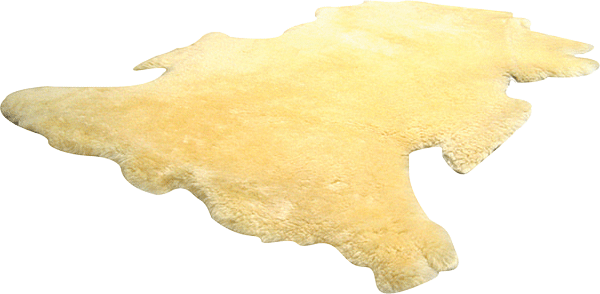 Sofsheep Sheepskin Pad Questions & Answers